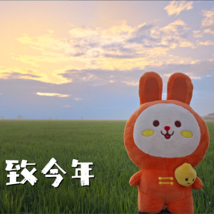 Listen to 致今年 song with lyrics from 王雪晶
