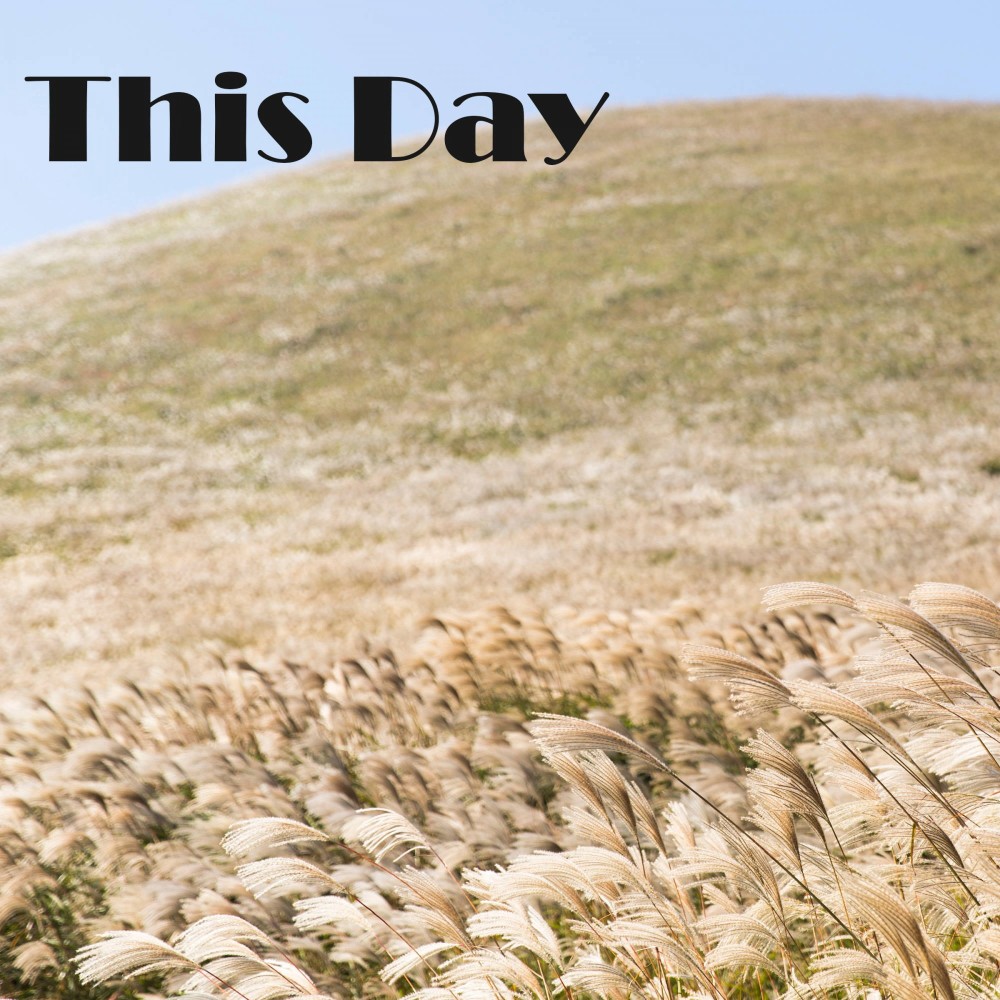 This Day