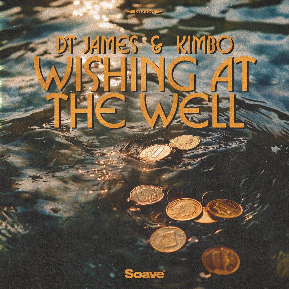 Wishing At The Well