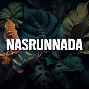 ดาวน์โหลดและฟังเพลง Yamim Nahwal Madinah พร้อมเนื้อเพลงจาก NASRUNNADA