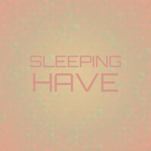 อัลบัม Sleeping Have ศิลปิน Various