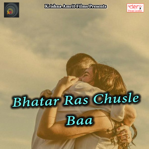 Listen to Dulhin Ke Bagal Me Khada Javan Biya song with lyrics from Lallan Vidhyarthi