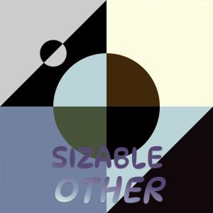 Album Sizable Other from Various