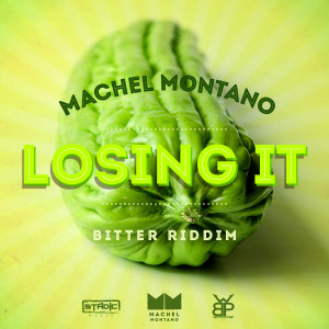 Machel Montano的专辑Losing It