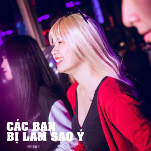 Album Các Bạn Bị Làm Sao Ý (Explicit) oleh DJ Tom2k