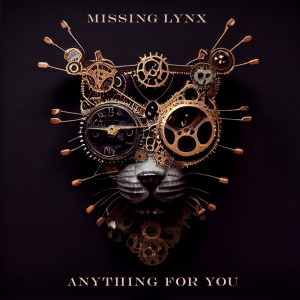 Listen to Anything for You song with lyrics from Missing Lynx