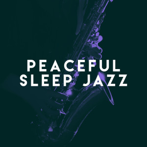 Dinner Jazz的專輯Peaceful Sleep Jazz