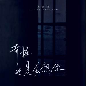 Album 奇怪还是会想你 from 傅锵锵