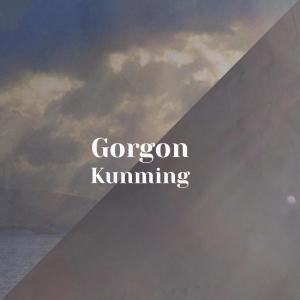 收聽Danee Lebs的Gorgon Kunming歌詞歌曲