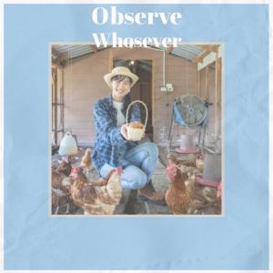 Listen to Similar Ourselves song with lyrics from Clil Aung