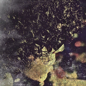 Album Shaere Mariz (Explicit) from Gdaal