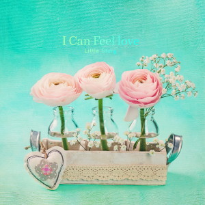 Album I Can Feel love from Little Story