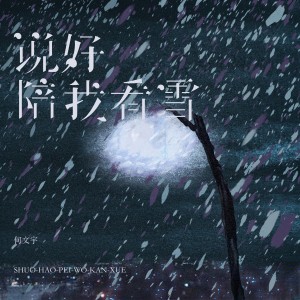 何文宇的專輯說好陪我看雪