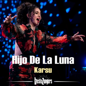 Album Hijo De La Luna from Karsu
