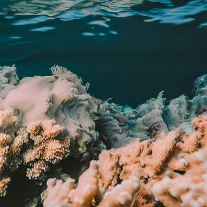 Listen to In deep ocean song with lyrics from Massage