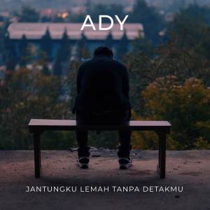Listen to Jantungku Lemah Tanpa Detakmu song with lyrics from Ady