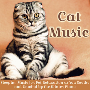 Dengarkan Cat Spa lagu dari RelaxMyCat dengan lirik
