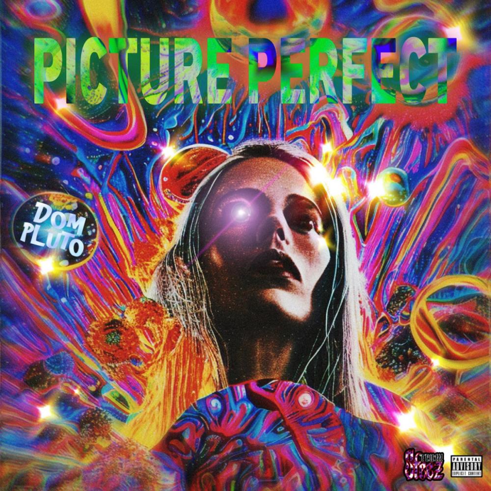 Picture Perfect (Explicit)