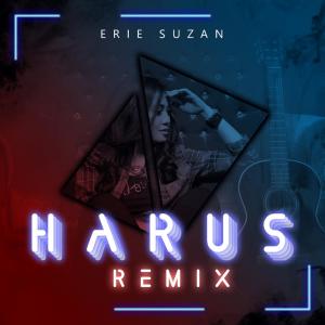 Dengarkan Harus (Remix) lagu dari Erie Suzan dengan lirik