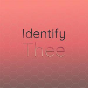 Listen to Squidgy Feminazi song with lyrics from Caisa Teme