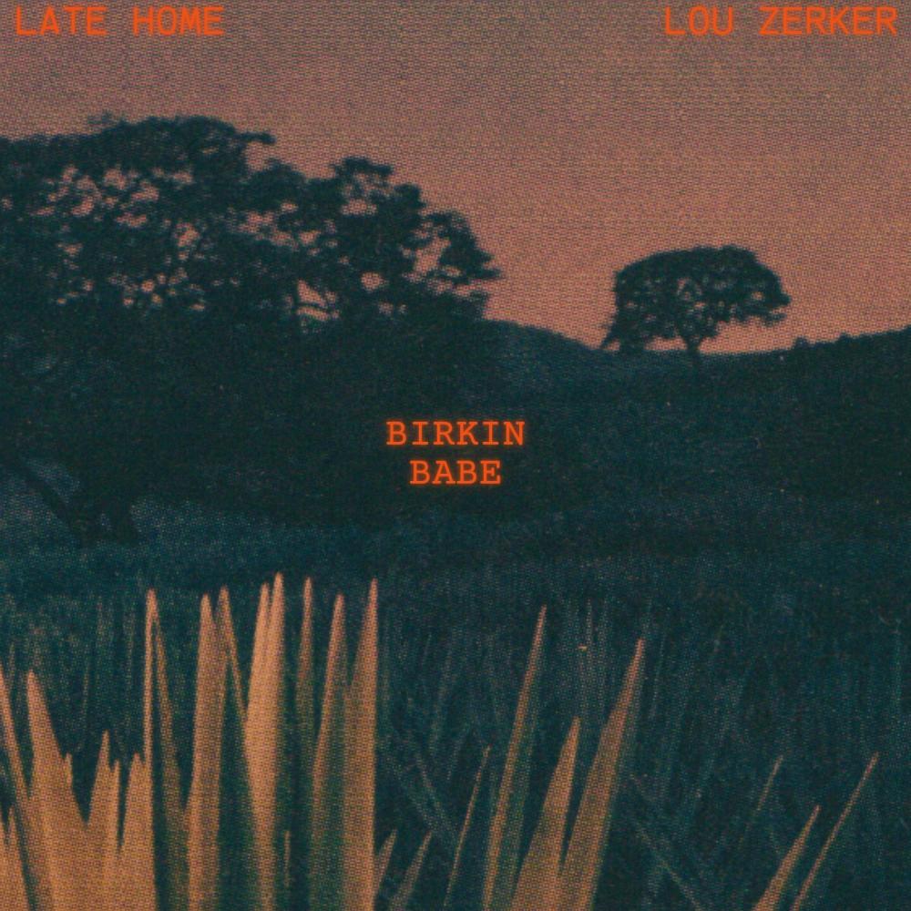 BIRKIN BABE (feat. Lou Zerker) (Explicit)