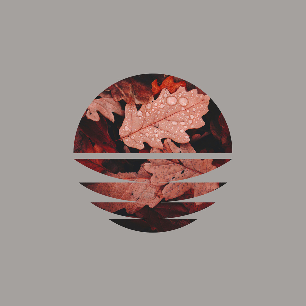 Autumn Forest Downpour (Loopable)