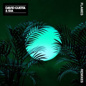 ดาวน์โหลดและฟังเพลง Flames (Tom Martin Remix) พร้อมเนื้อเพลงจาก David Guetta