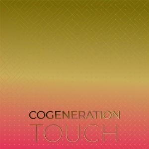 Various Artists的專輯Cogeneration Touch