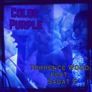 Color Purple (feat. Sadat X) (Explicit)