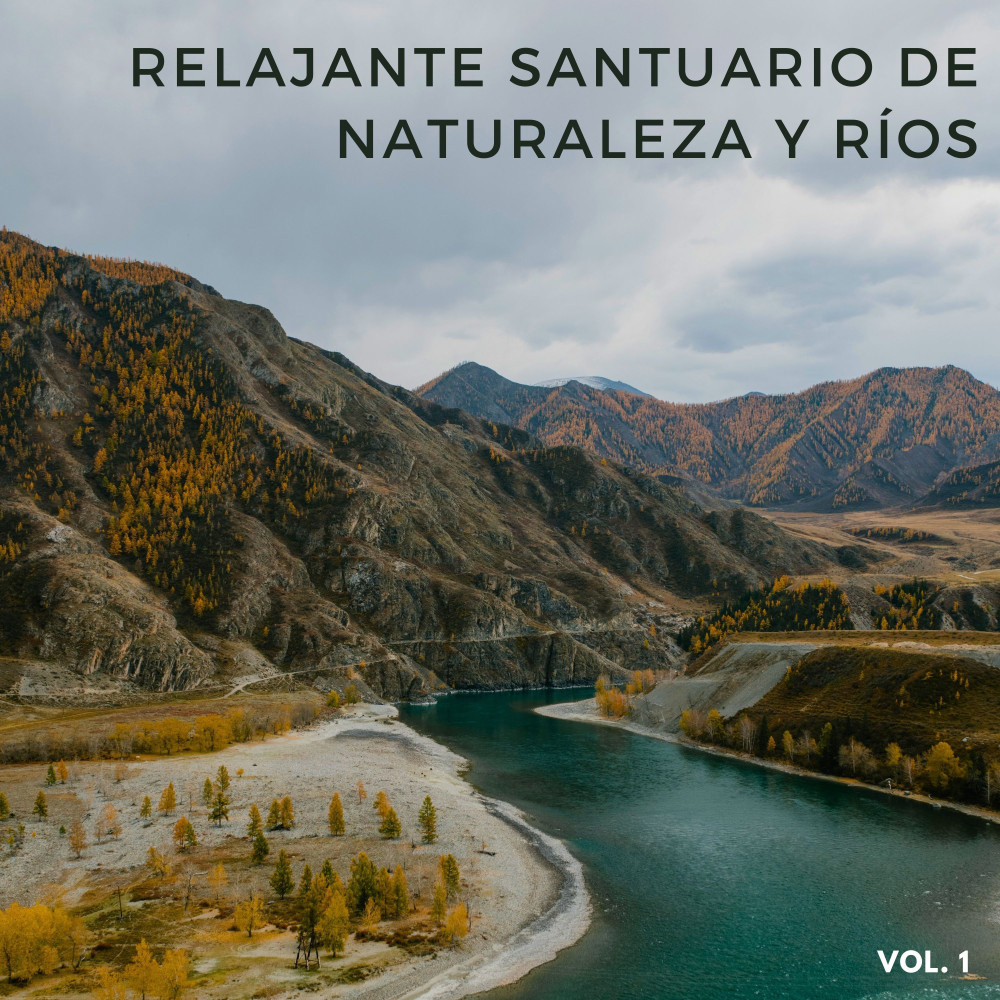 Música De Meditación Natural