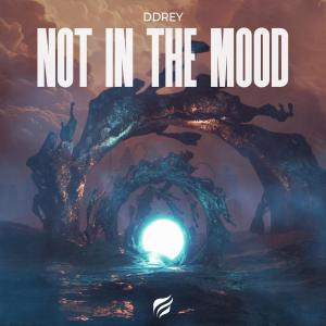 收聽DDRey的Not In The Mood歌詞歌曲