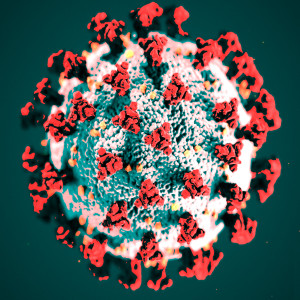 收聽Rockstar Antihero的Corona Virus - Covid 19歌詞歌曲