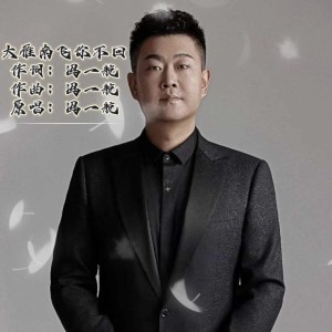 Album 大雁南飞你不回 from 冯一航