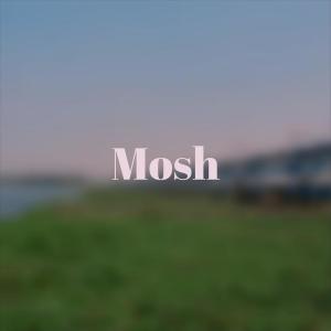 Album Mosh from Nann Morgann