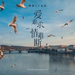 收聽鵬鵬音樂的愛難求情難斷歌詞歌曲