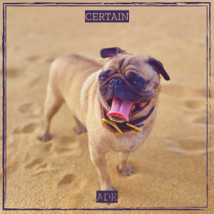 Album Certain from ADK