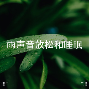 ดาวน์โหลดและฟังเพลง 睡眠のための雨の音 พร้อมเนื้อเพลงจาก Rain Sounds