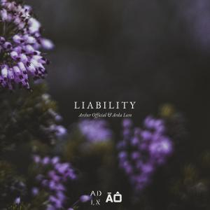 Album Liability from Arda Leen