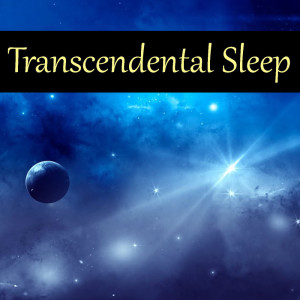 Listen to Innersight song with lyrics from Seishin Tamashi