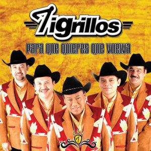 ดาวน์โหลดและฟังเพลง Espantapájaros พร้อมเนื้อเพลงจาก Los Tigrillos