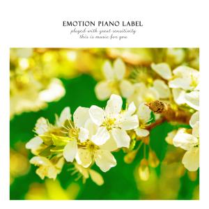 Album Flowers blooming in the spring oleh Wanderer