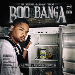 Album Suger Water & Mayonnaise Sandwiches (Explicit) from Boo Banga