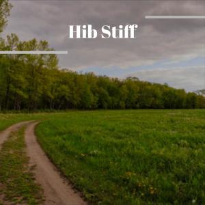 Listen to Whereinto Everything song with lyrics from Mala Gien