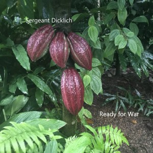 收聽Sergeant Dicklich的Punch歌詞歌曲