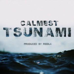 อัลบัม CALMEST TSUNAMI (feat. Riddla) [Explicit] ศิลปิน Fonzse