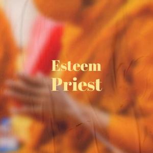 Listen to Esteem Priest song with lyrics from Emow