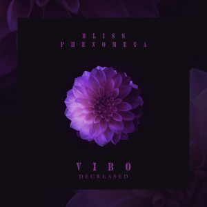 Bliss Phenomena的专辑Vibo - Decreased