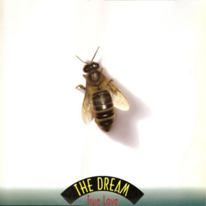 อัลบัม True Love ศิลปิน The Dream