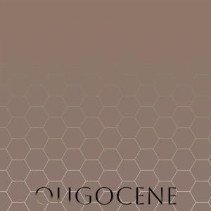 Various的专辑Oligocene