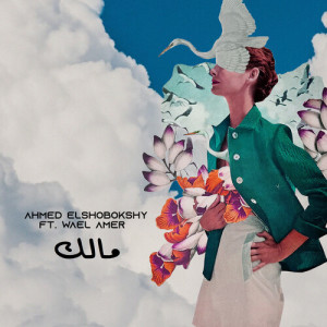 Album مالك from Ahmed Elshobokshy